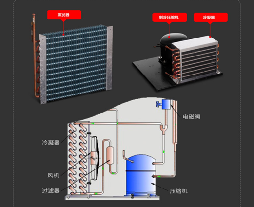 LRH（MJ）恒溫恒濕霉菌箱